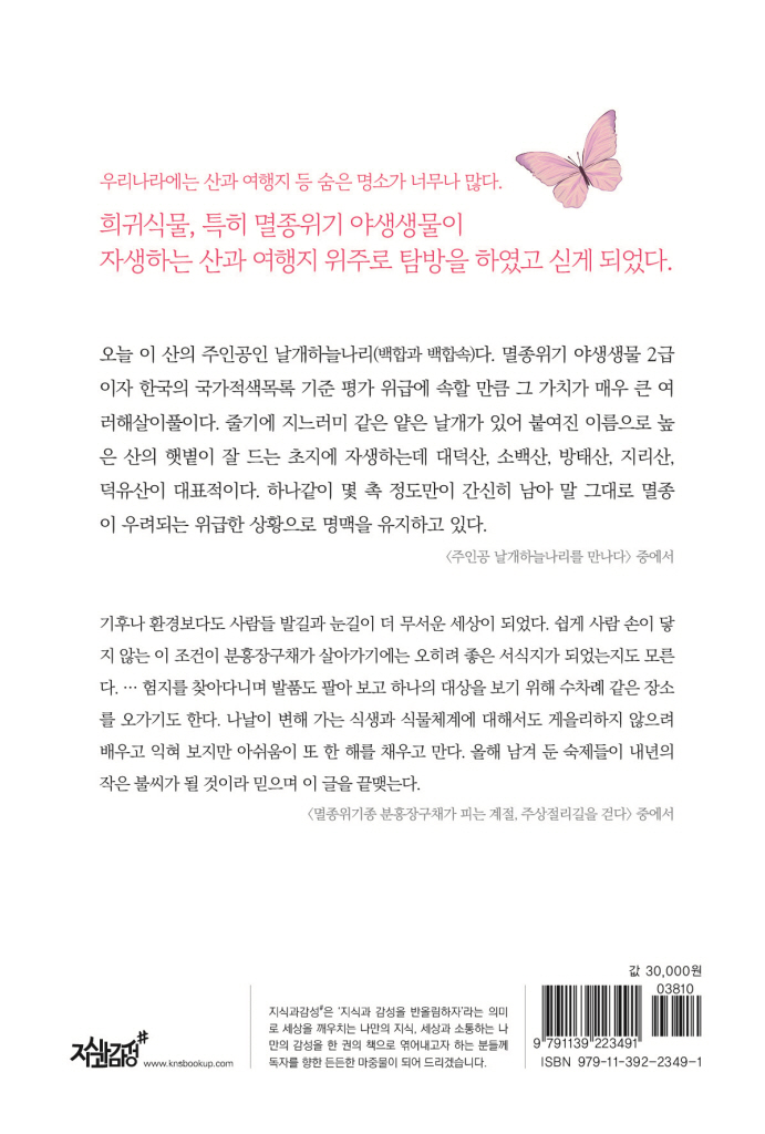 23페이지