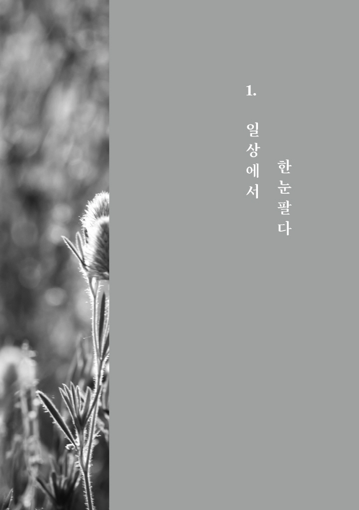 14페이지