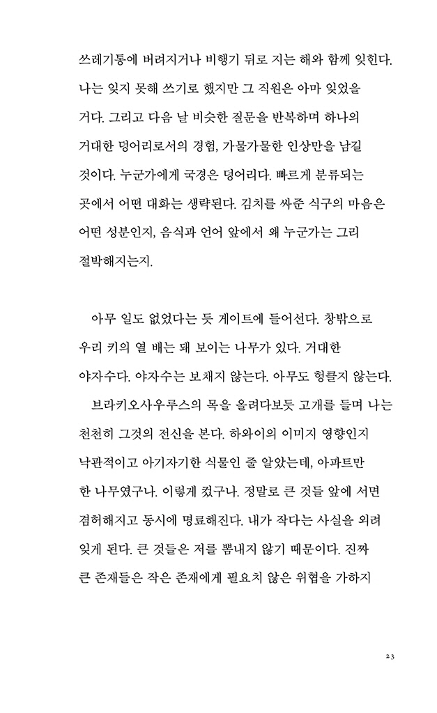 19페이지
