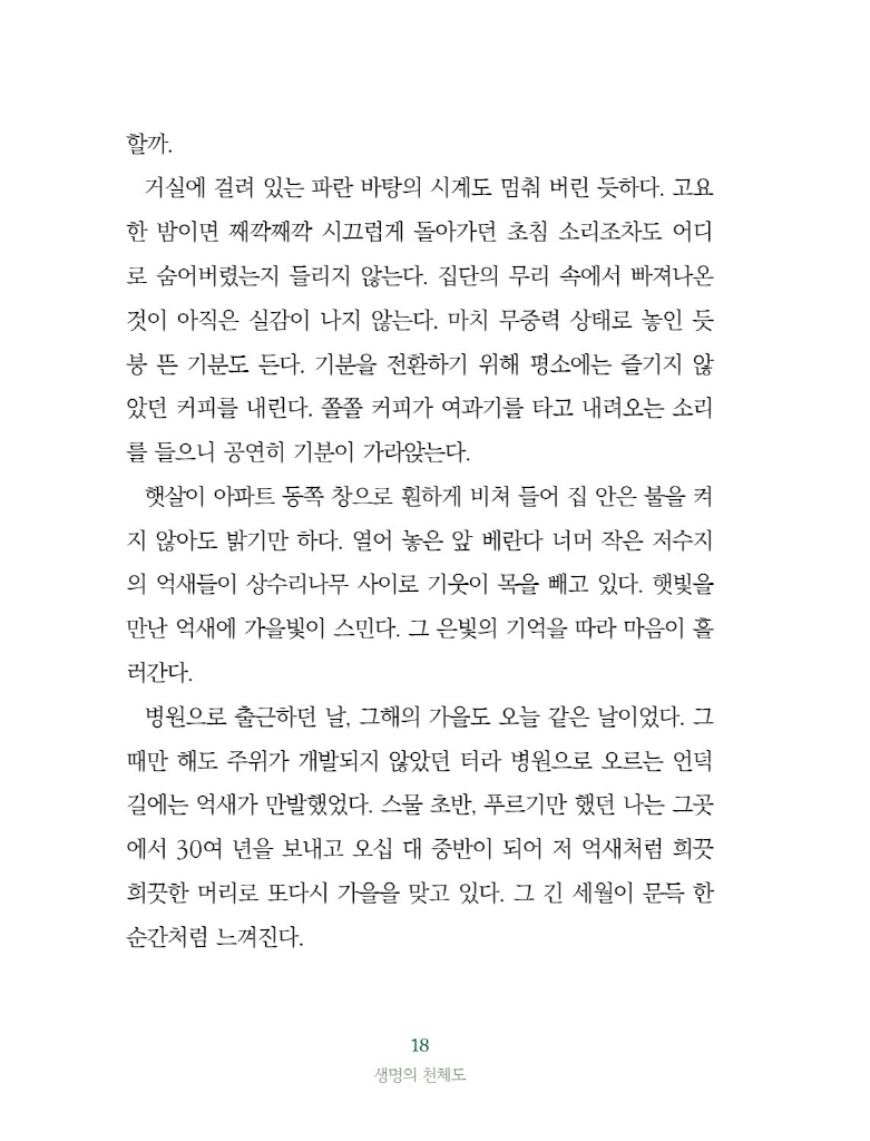 19페이지