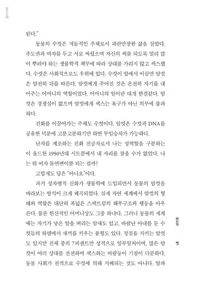 13페이지