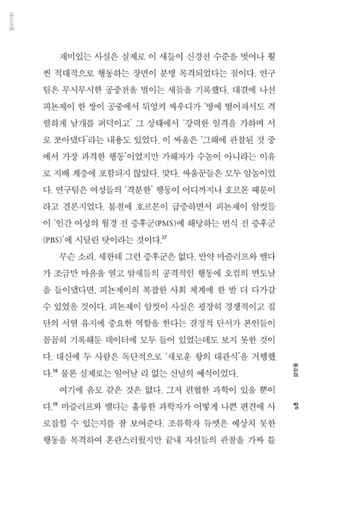 23페이지