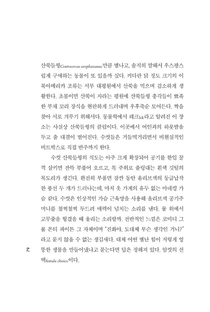 26페이지