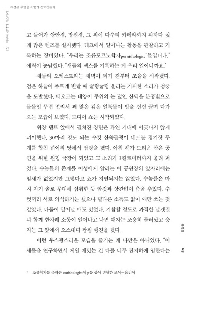 29페이지