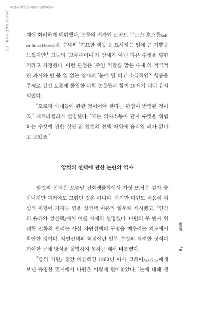 31페이지