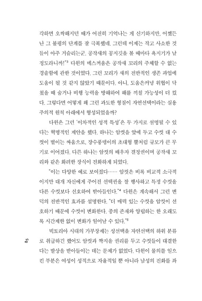 32페이지