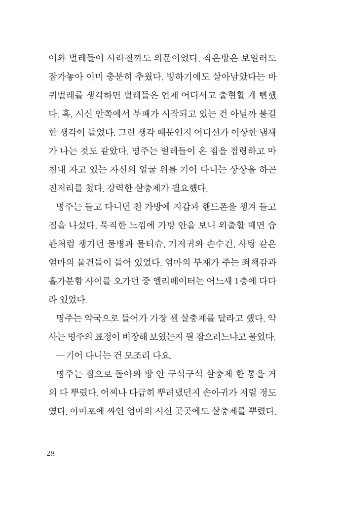 27페이지