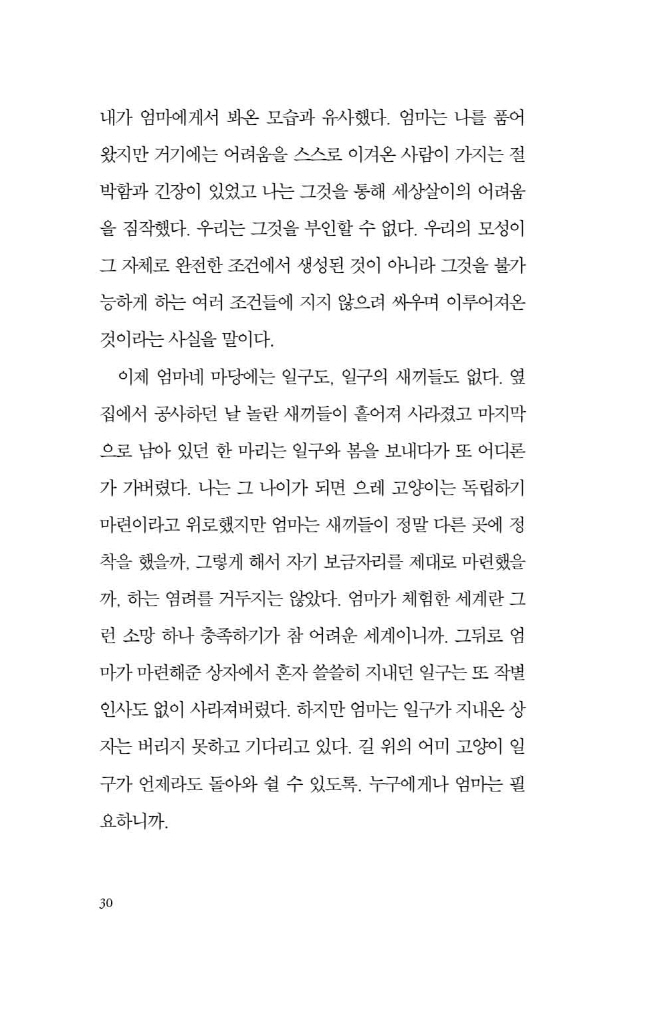31페이지