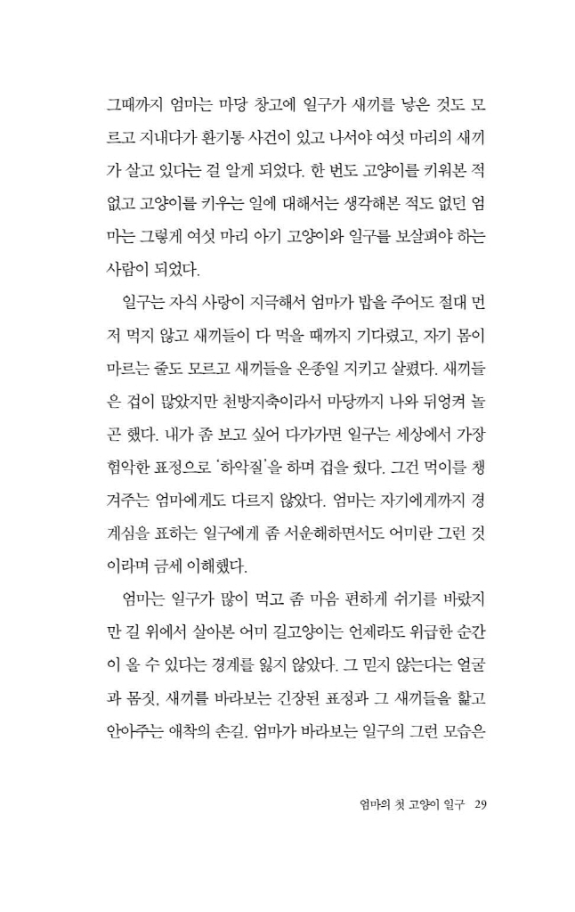 30페이지