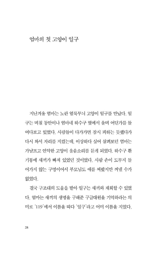 29페이지