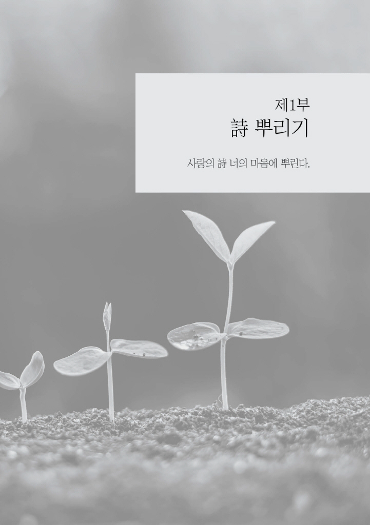 14페이지