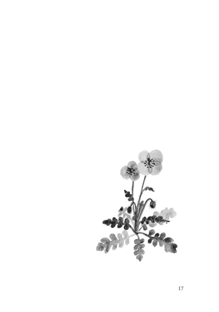 16페이지