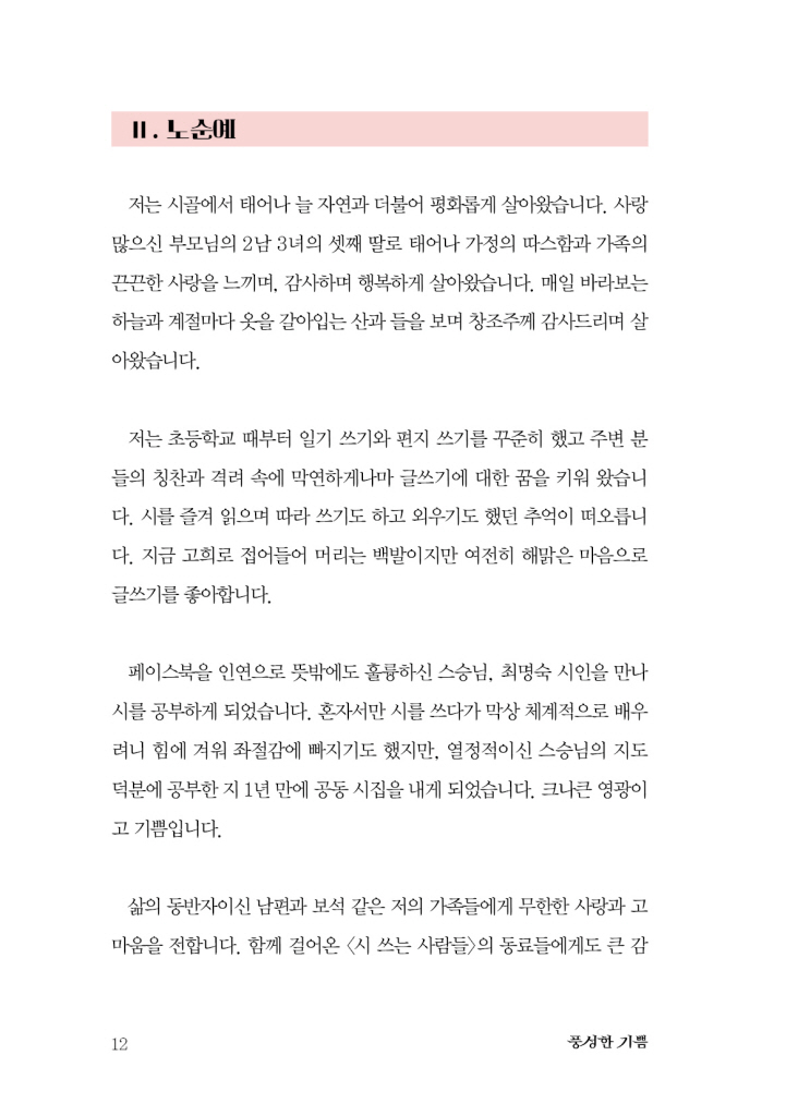 13페이지