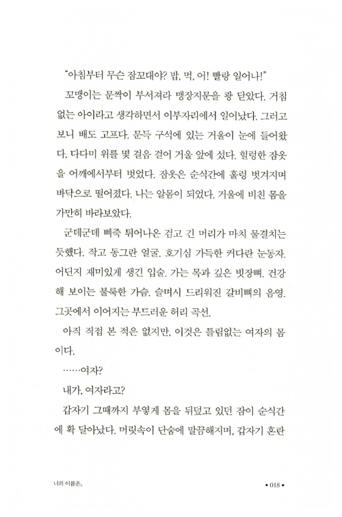 17페이지