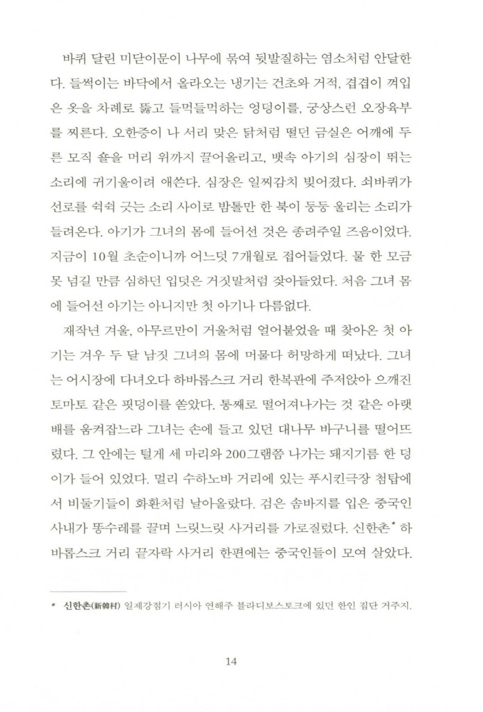 13페이지