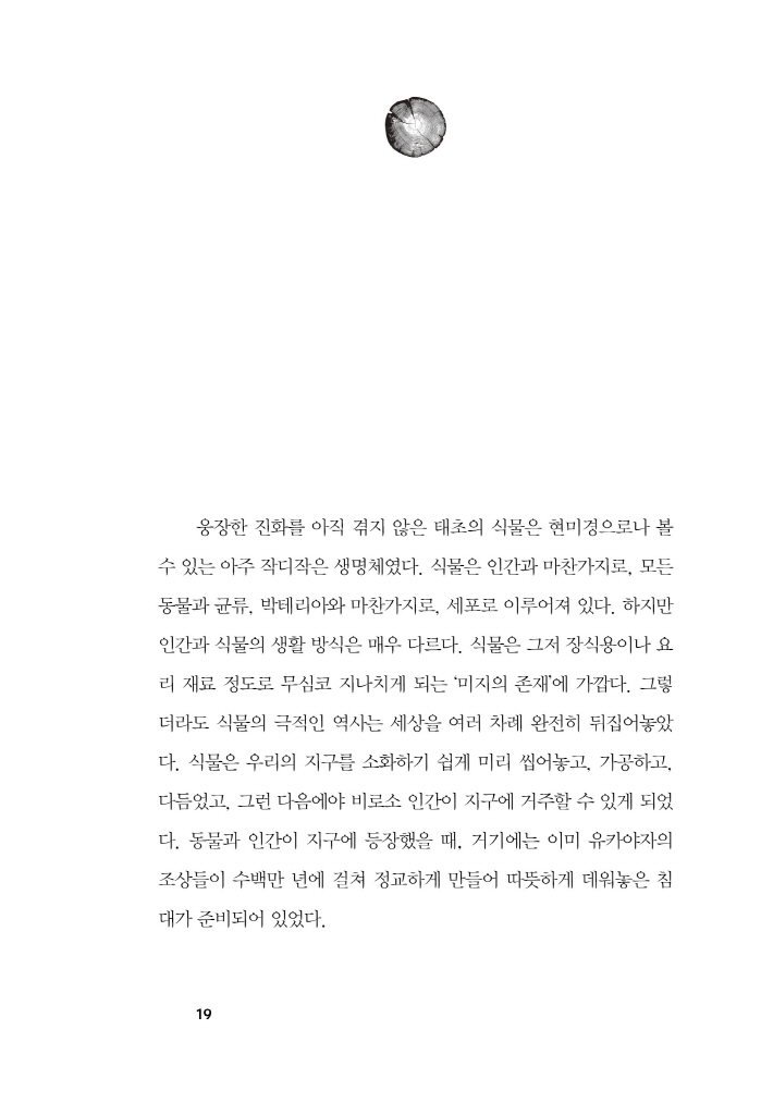 20페이지