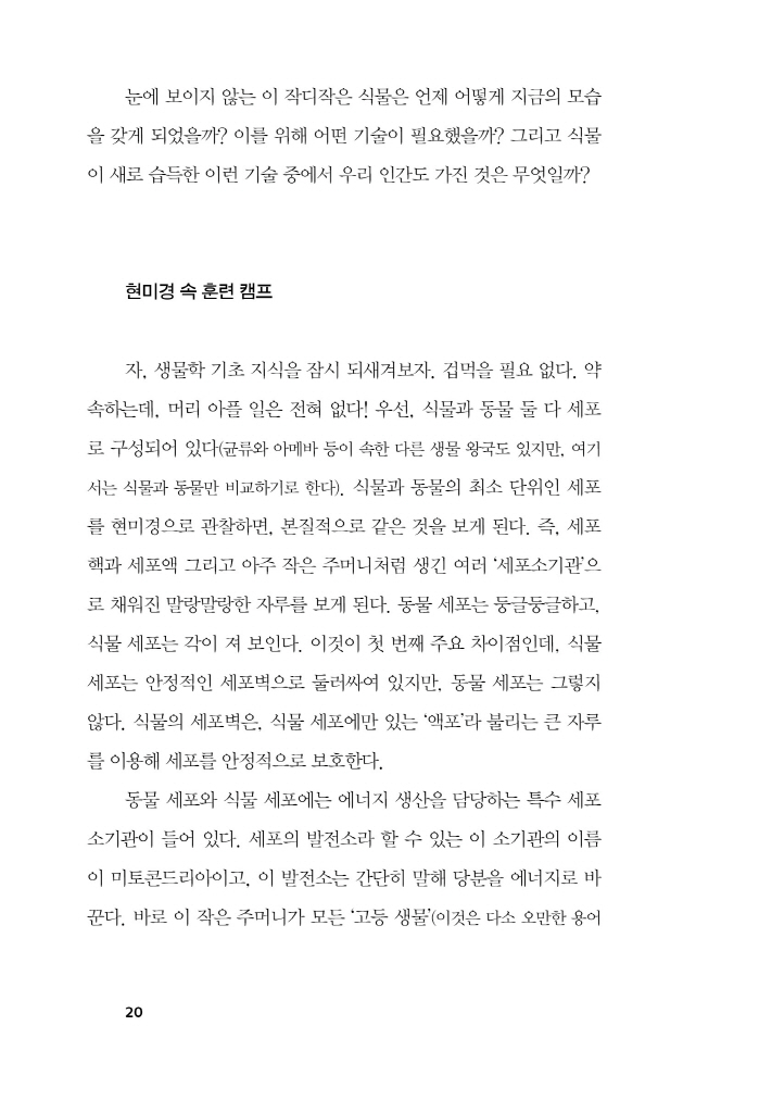 21페이지