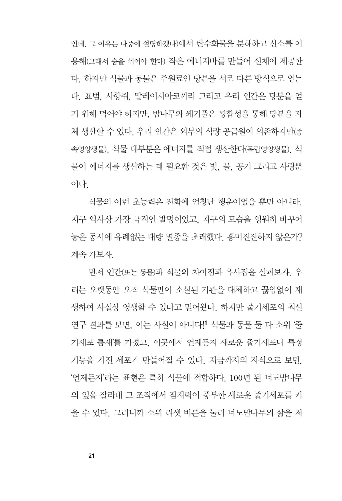 22페이지