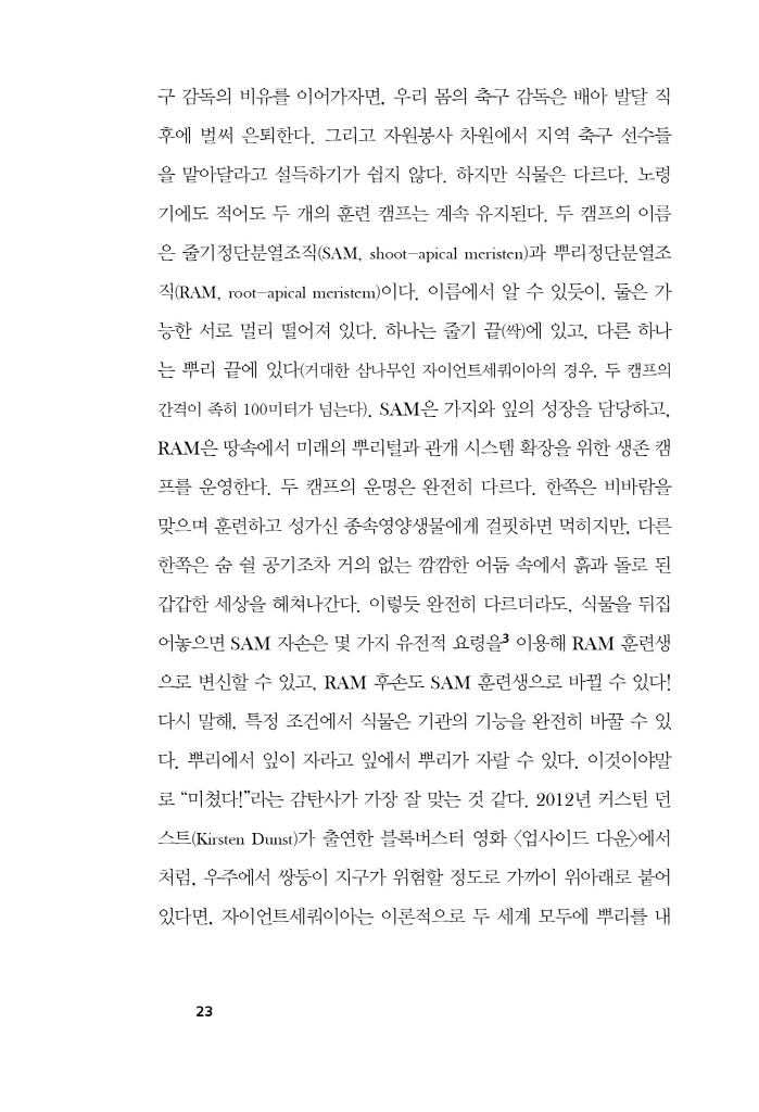 24페이지