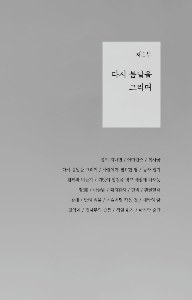 14페이지