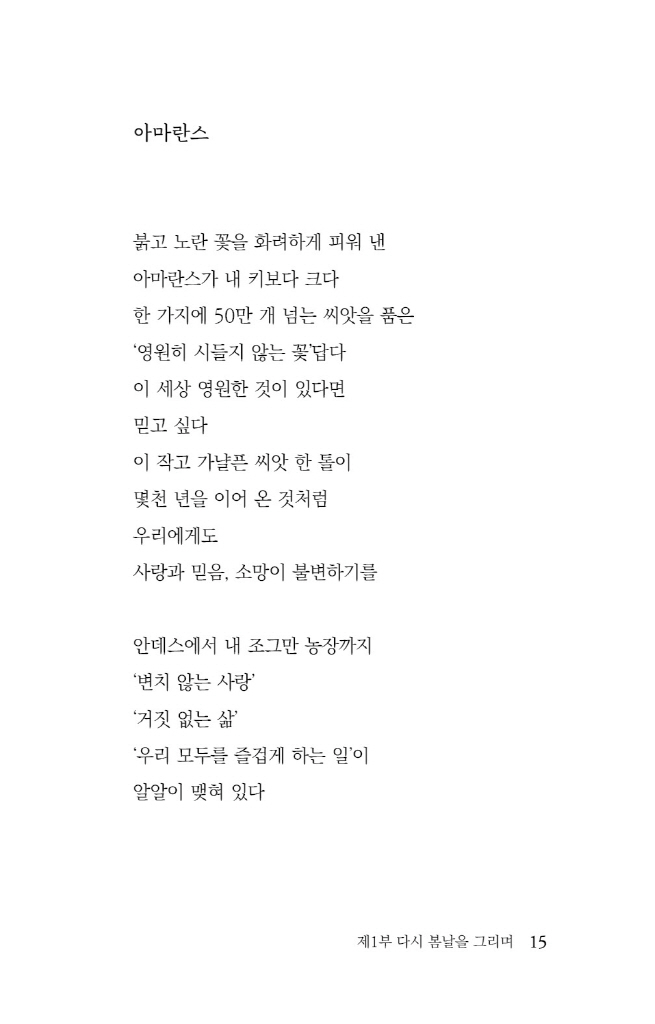16페이지