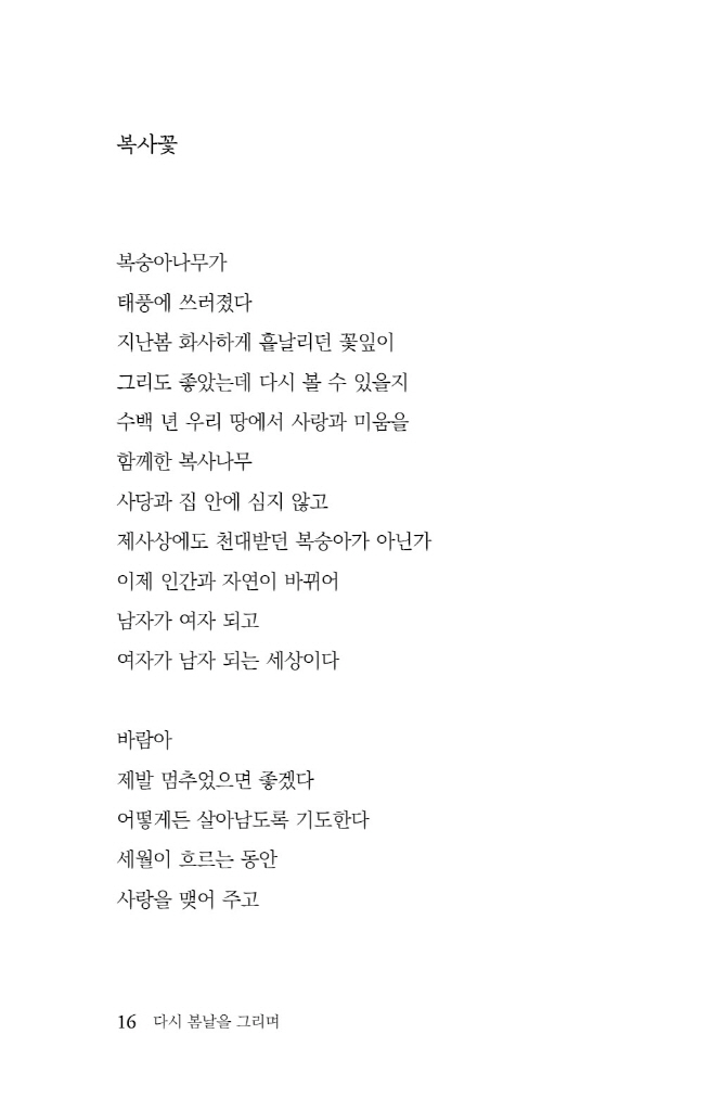 17페이지