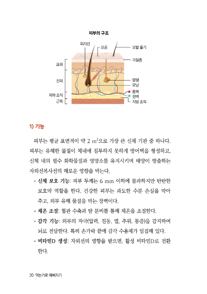 21페이지