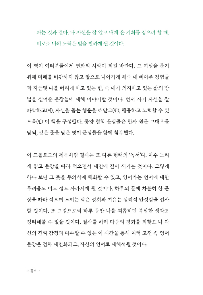 13페이지