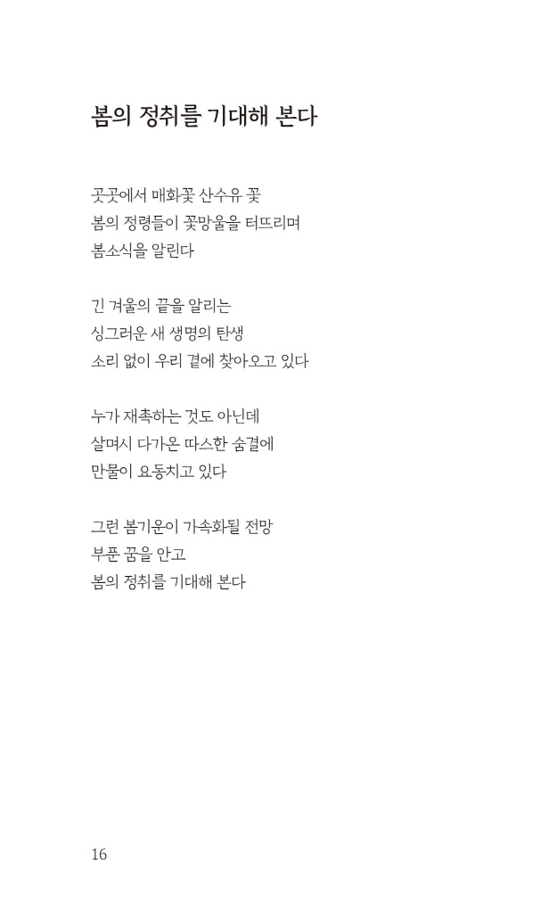 17페이지