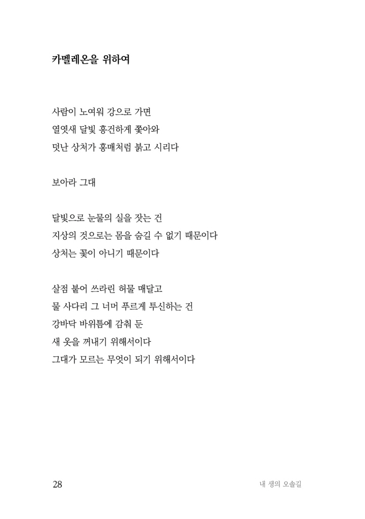 29페이지