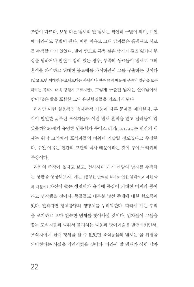 19페이지