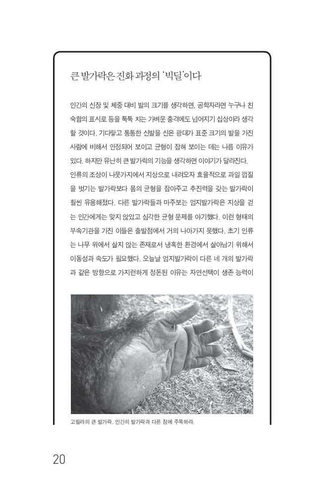 17페이지