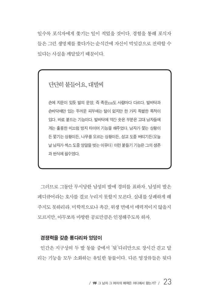 20페이지