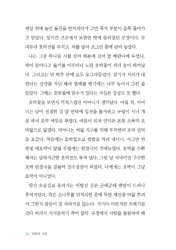 19페이지