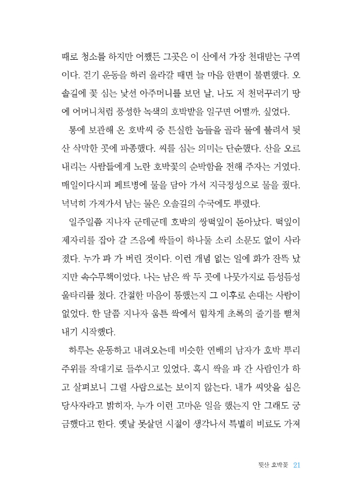 20페이지