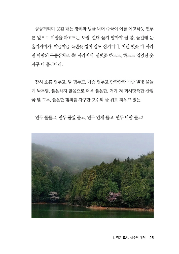 26페이지