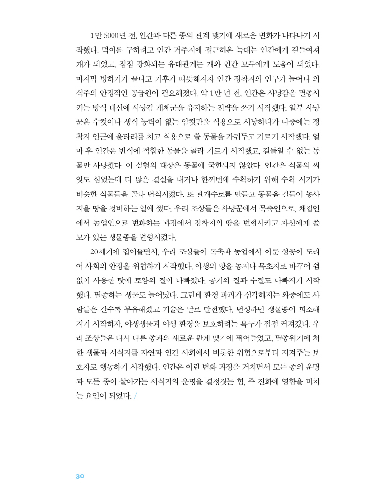 31페이지