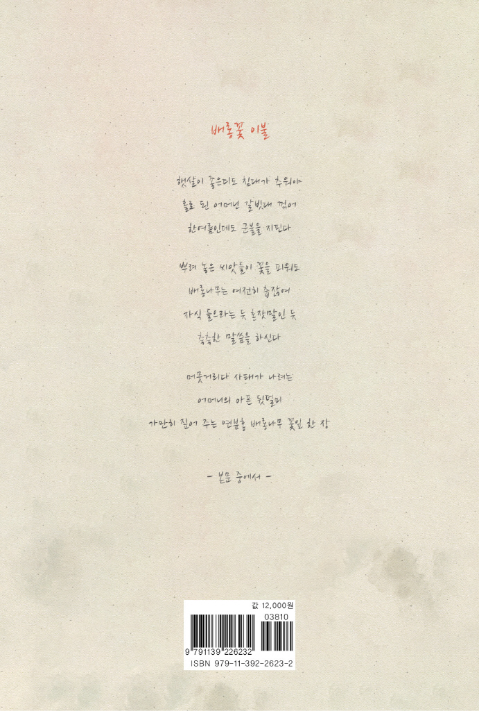 27페이지