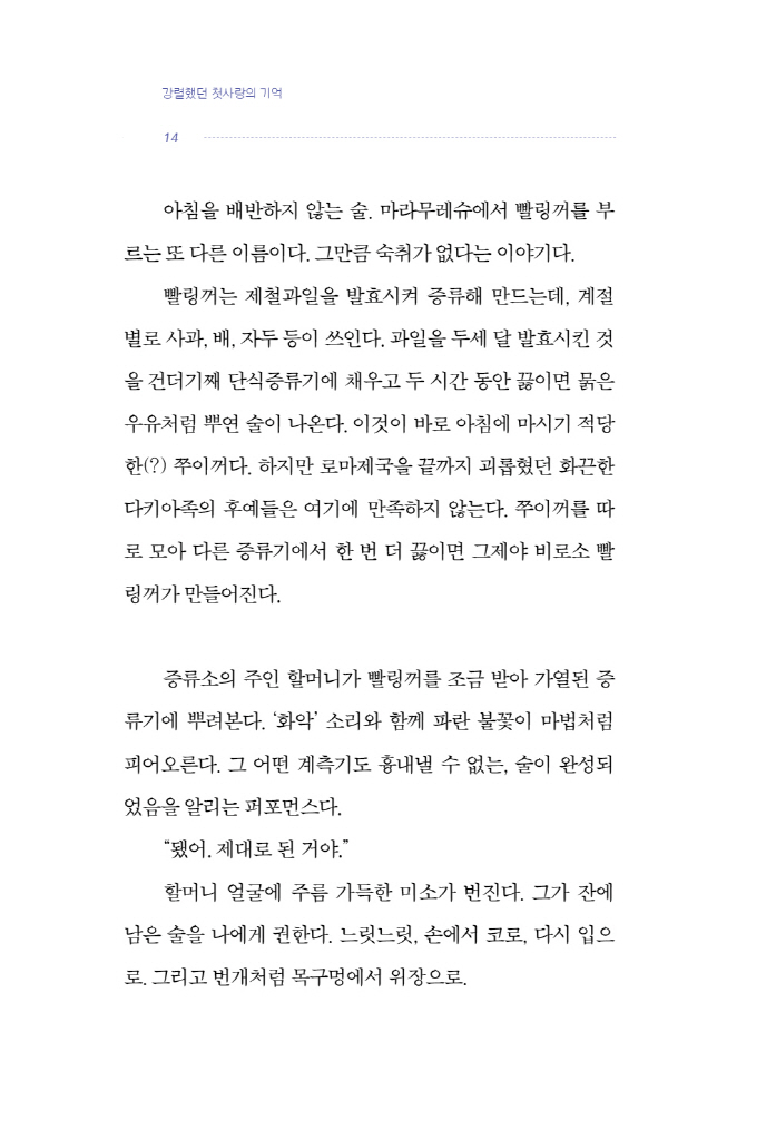 13페이지