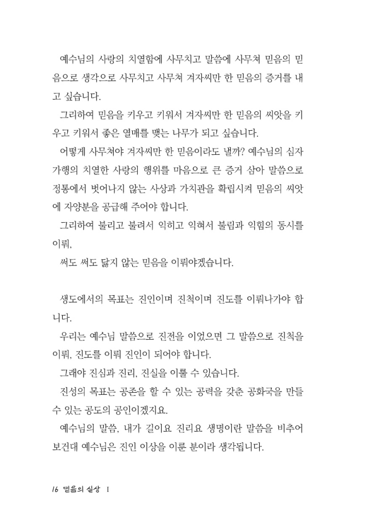 17페이지