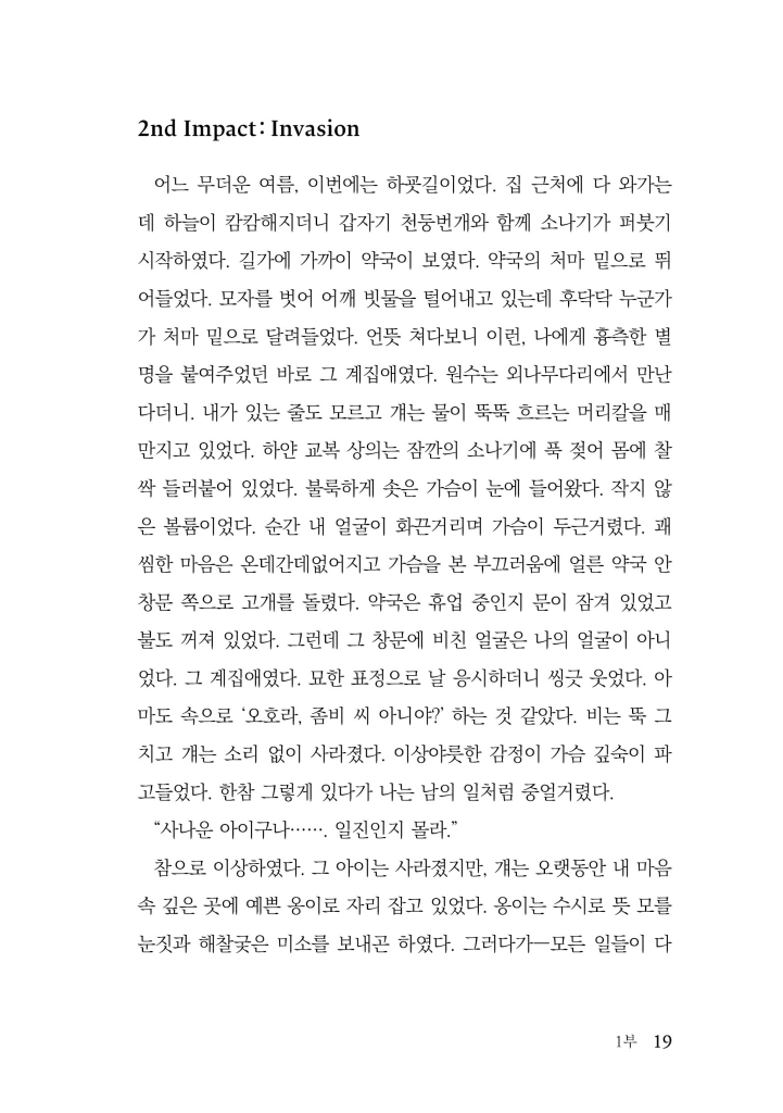 20페이지