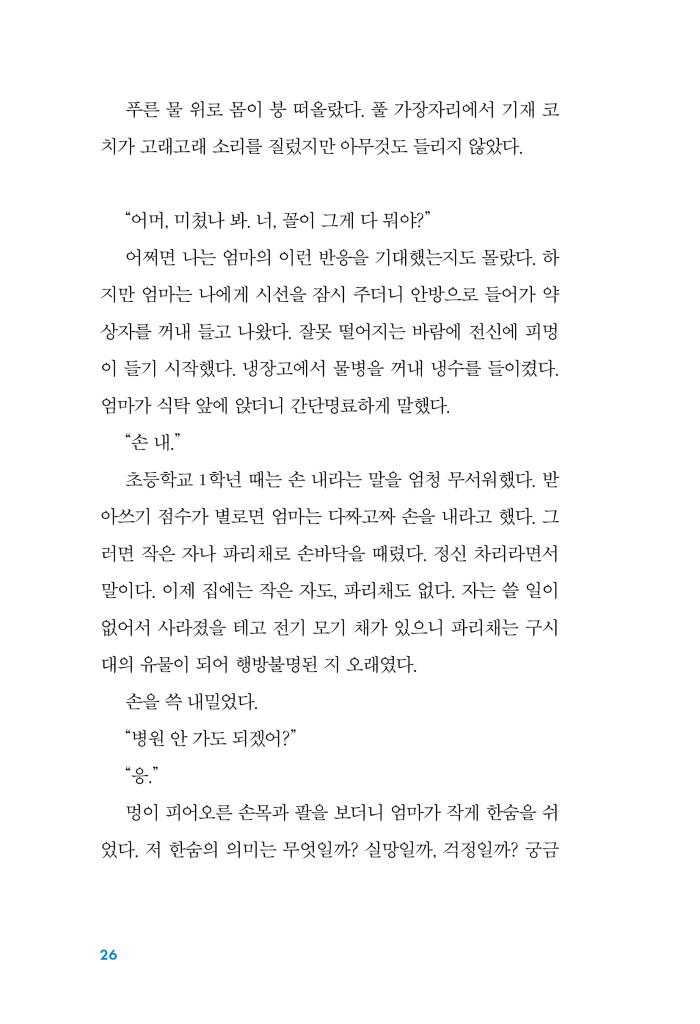 29페이지