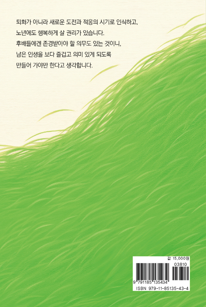 31페이지