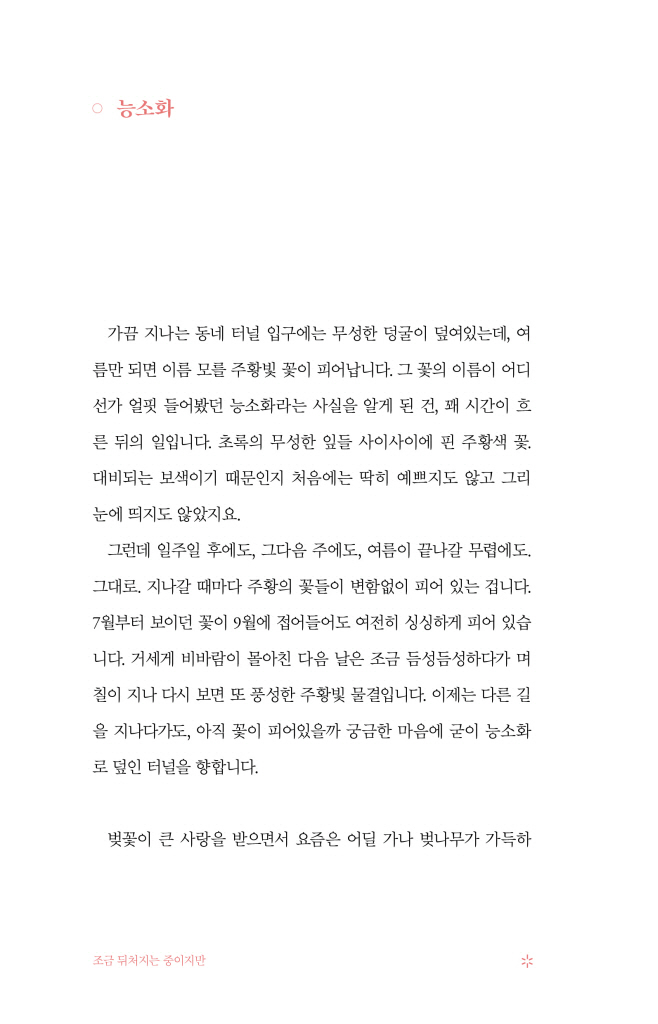 24페이지