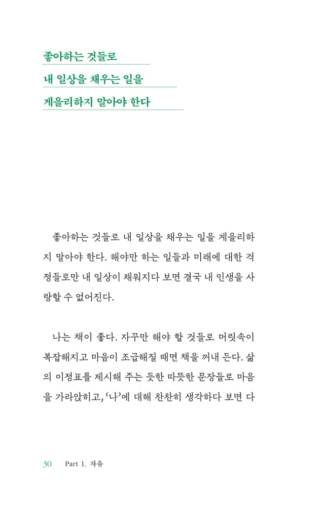 31페이지