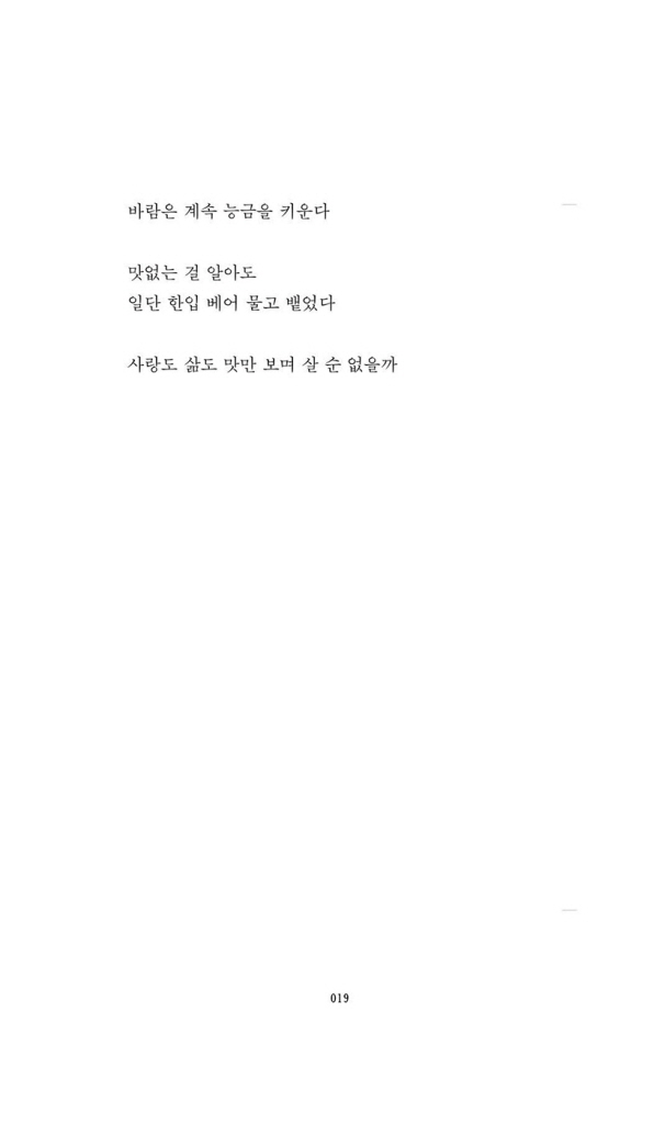 20페이지