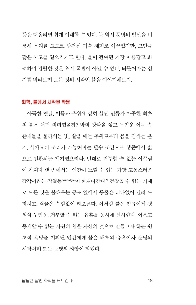19페이지