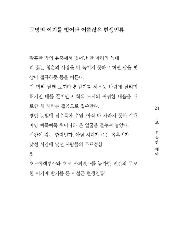 24페이지