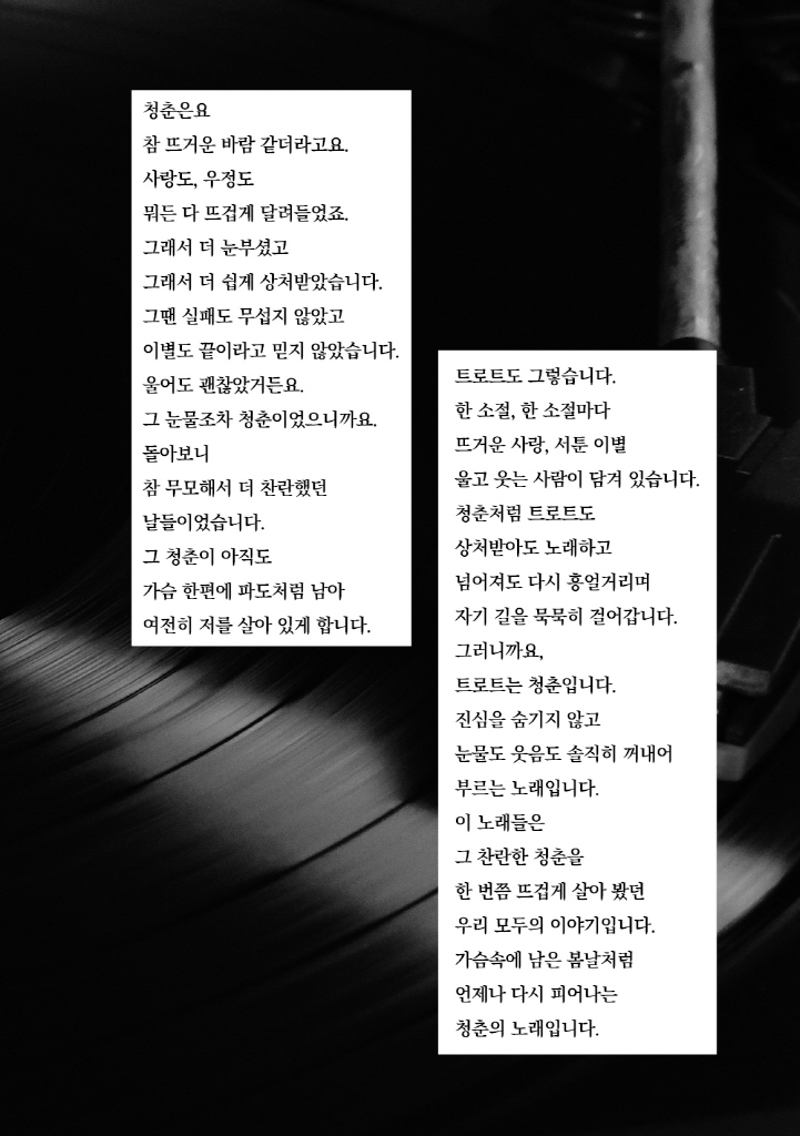 20페이지