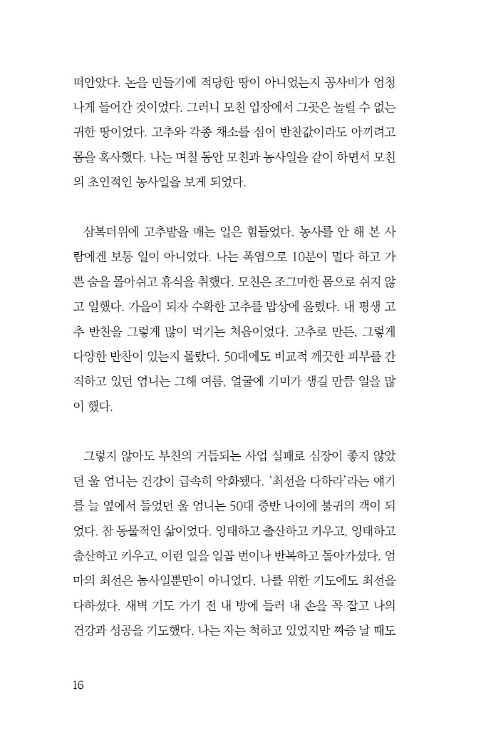 17페이지
